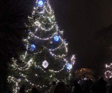 Slavnostní rozsvícení vánočního stromu Velká Hleďsebe