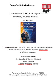 The Bodyguard